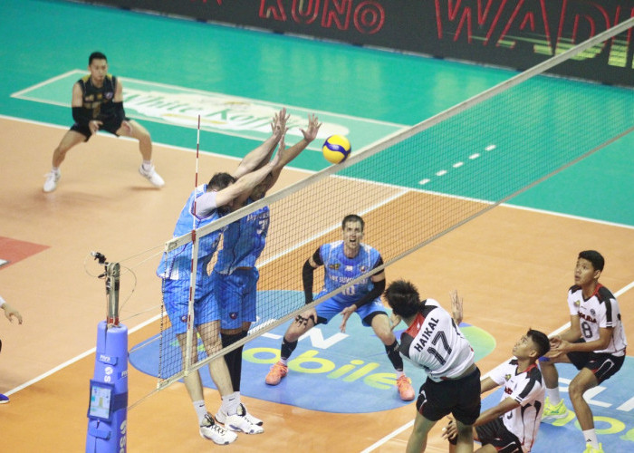 Tekuk Garuda Jaya 3-0, Palembang Bank Sumsel Babel Melaju Final Four Proliga 2025