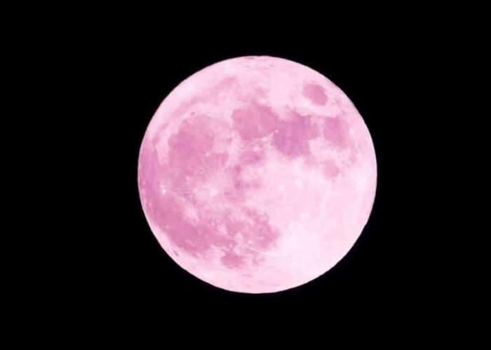 Mengapa Bulan Purnama 1 April 2026 Disebut Pink Moon? Yuk Cek Fakta dan Mitos