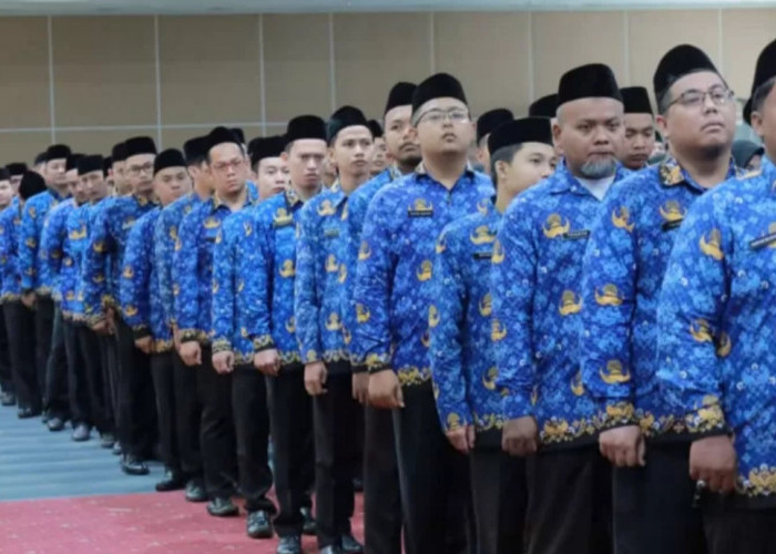 Ini Lima Keuntungan Menjadi PPPK Paruh Waktu bagi Tenaga Honorer