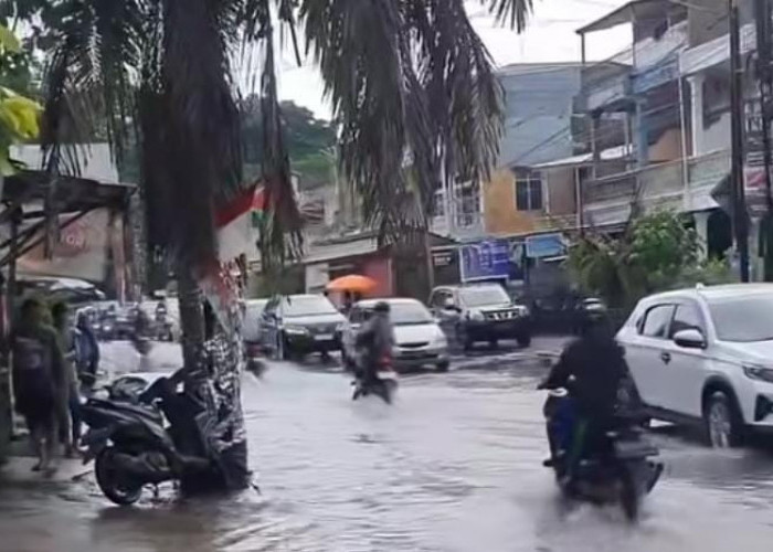 Hujan Deras Sejenak, Palembang 'Kelebu', Waspada Kemacetan dan Pohon Tumbang, Berikut Lokasinya