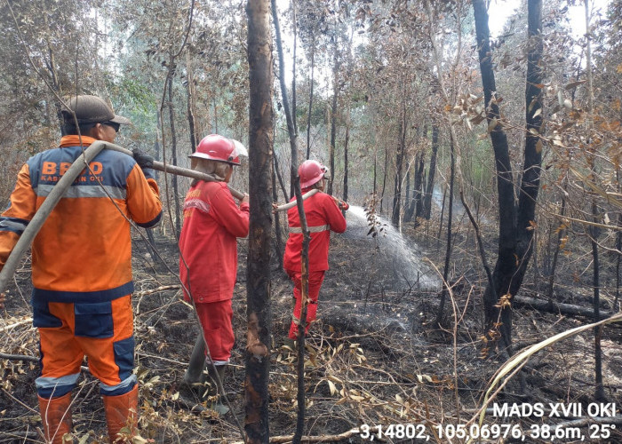 Terbakar Selama 4 Hari, Karhutla di Desa Rambai Pangkalan Lampam OKI Berhasil Dipadamkan 