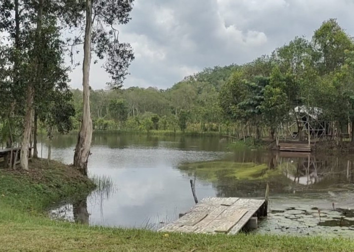  5 Tempat Ngecamp Paling Adem di Palembang: Suasana Tenang dan Gak Terlalu Jauh dari Kota