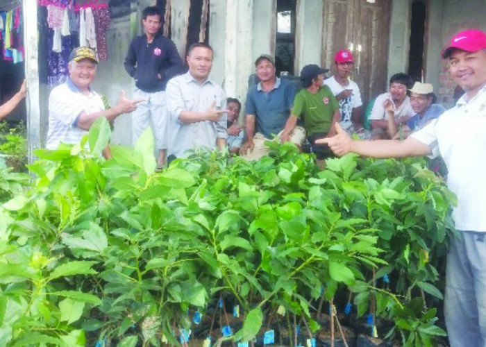 Tingkatkan Kesejahteraan Petani, 40 Kelompok Tani Dapatkan Bantuan Bibit Buah