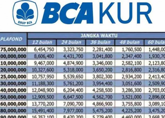 Update! KUR BCA Plafon Rp500 Juta Bisa Cair Sekarang Juga, Coba Pakai Cara Ini