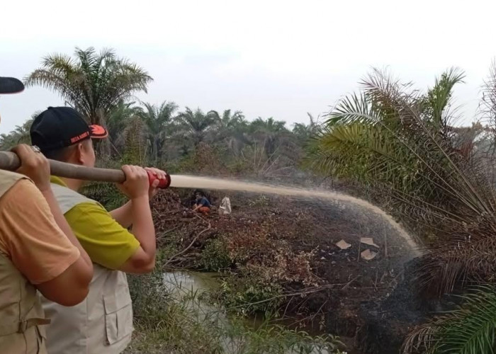 Diprediksi Kemarau Lebih Panjang, Terutama di Kabupaten Banyuasin