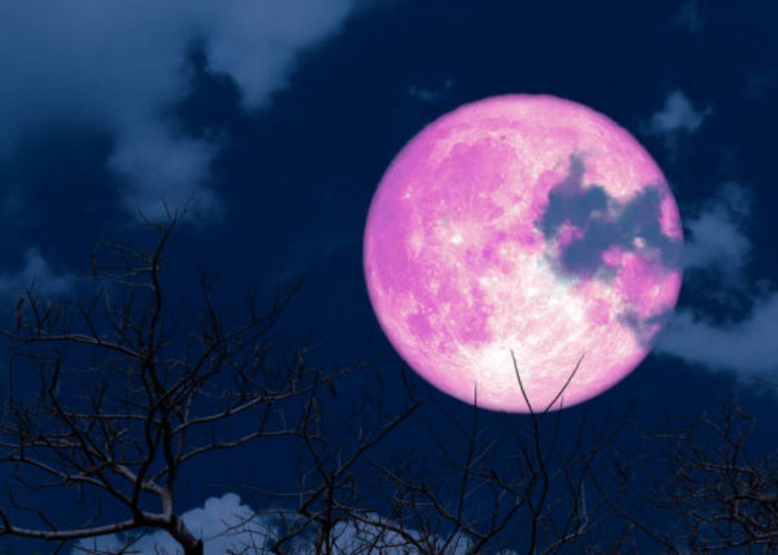 Zodiak Beruntung Malam Ini: Capricorn dan Sagitarius Paling Bersinar, Keberuntungan Karir hingga Keuangan