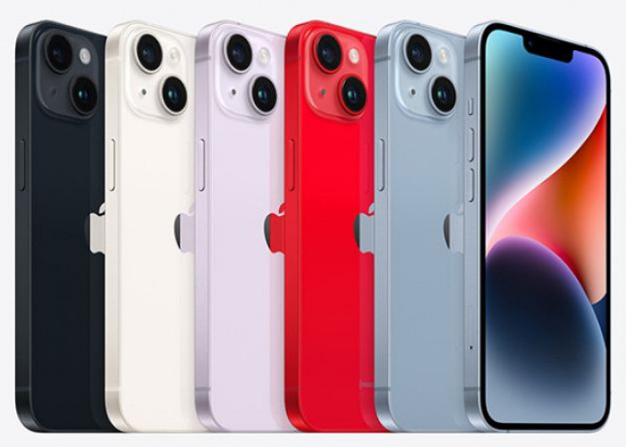 Harga iPhone 14 Series Agustus 2026, Mulai Rp8 Jutaan