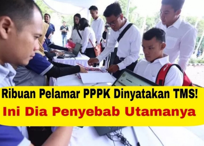 Ribuan Honorer Pendaftar PPPK 2024 TMS, Kok Bisa! 