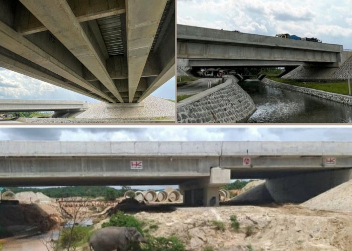 10 Underpass Perlintasan Hewan di Jalan Tol Trans Sumatera, Komitmen Inisiatif Berkelanjutan