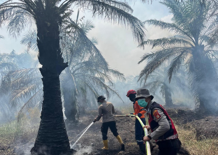 2 Hektare Lahan Gambut yang Terbakar di Desa Parit, Berhasil Dipadamkan Personel Gabungan Polres Ogan Ilir