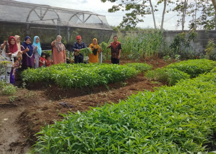 Tingkatkan Partisipasi Perempuan Desa, Pertamina EP Adera Field Bina Kelompok Perempuan Selaras Alam
