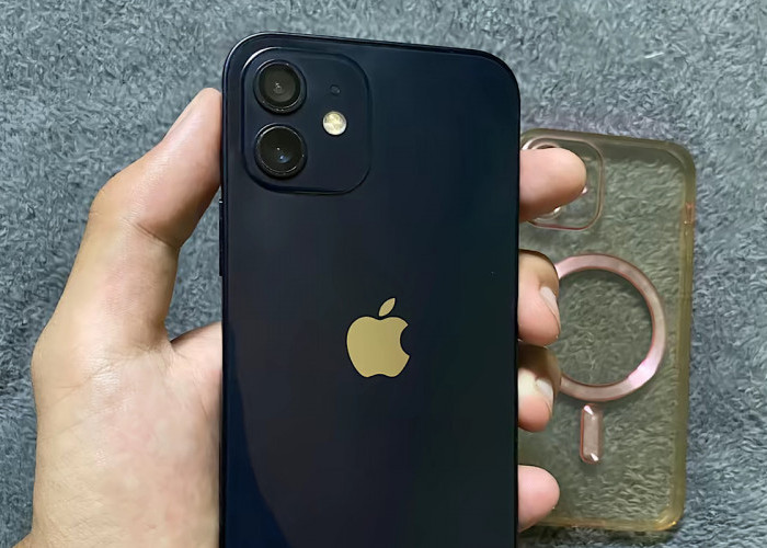 Mengapa iPhone 12 Jarang Dibahas, Berikut Kelebihan dan Kekurangannya?