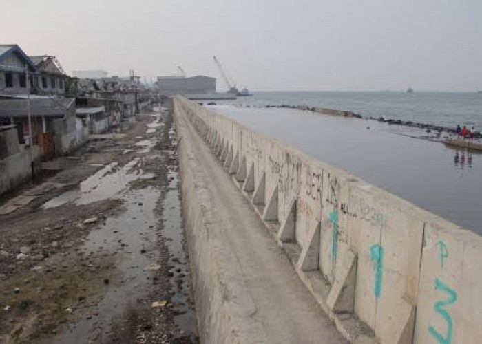 Viral Tanggul Pembatas Laut di Jakarta Utara Retak Hingga Alami Kebocoran, Penampakannya Bikin Spot Jantung!