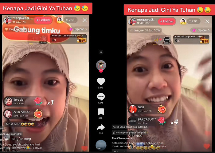 Megawati Marah-marah Saat Live Bikin Penggemar Terkejut, Fans Nasehati Lebih Sabar Hadapi Netizen Tanah Air