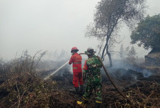 Lahan 10 Hektar di Pulau Beruang Tulung Selapan Terbakar Dipadamkan TNI dan Tim Gabungan 