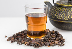 Ternyata Kulit Kopi Bisa Diminum! Inilah 6 Manfaat Cascara untuk Kesehatan 