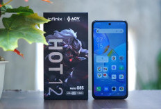 Infinix Hot 12i: HP Satu Jutaan dengan Desain Elegan dan Baterai Tahan Seharian