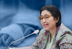 BPJS Kesehatan Tekor Rp 2 Triliun Per Bulan, Anggota Komisi IX DPR RI Irma Suryani Minta Penerima PBI Dibenahi