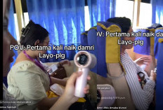 UNIK, Naik Bus Damri Palembang-Indralaya, Ada Yang Panas Ada Yang Dingin