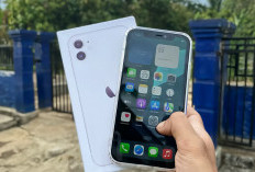 Ternyata iPhone 11 Masih Dapat Update iOS 27, Apple Intelligence Improve Hanya Bisa Buat iPhone 15 Pro ke Atas