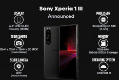TURUN DRASTIS Harga Sony Xperia 1 III di 2025, Masih Layak Dibeli? Ini Review Lengkapnya