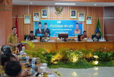 DPA 2026 Fokus Anggaran Prioritas, Realisasi Digas