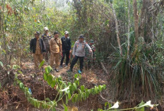 Kemunculan Beruang Hitam Resahkan Warga, Polsek Rambang Muara Enim Gelar Mitigasi Hari Kedua