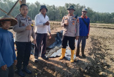 Dampingi Penanaman Jagung di Desa Tebing Suluh OKI, Polsek Lempuing Dukung Ketahanan Pangan