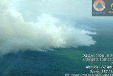 Lahan di 6 Kecamatan OKI Terbakar, 8 Hektar di Cengal dan Pinggiran Ruas Tol Kayuagung