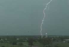 Pekerja Sawit Meninggal Dunia Tersambar Petir Saat Berteduh di Poskodal