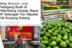 Bukan Tertipu, Korban Beli Buah Alpukat Setengah Ton Tak Kunjung Datang Sudah Sering Pesan Sama Terlapor
