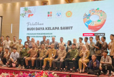 Sawit Rakyat Digenjot Naik Kelas, 165 Pekebun Ikuti Pelatihan Menuju Produktivitas Tinggi dan Sertifikat ISPO