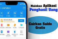 Saldo DANA Gratis Rp333.000 Masuk ke Dompet Digital, Aplikasi Penghasil Uang Ini Jawabannya!