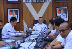 Potensi Lahan Capai 66 Ribu Hektare, Pemprov Sumsel Siap Dukung Ekstensifikasi Sawit Nasional