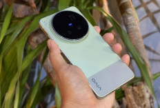 Vivo X300 Ultra Hadirkan Kamera Ultra Wide 50MP dan Layar AMOLED 144Hz