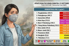 Kualitas Udara Musi 2 Tembus 903,6 µg/m³ Status Berbahaya, BMKG Imbau Kewaspadaan Tinggi di Sumatra