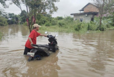 Dikepung Banjir Akibat Hujan Semalaman, Warga Perum Al Ghony Banyuasin Terancam Terisolir