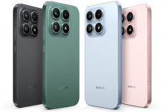 10 HP dengan Layar Mungil Terbaik 2026, Cocok untuk Penggemar Perangkat Ringkas