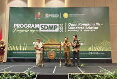 Kolaborasi BPDP, Ditjenbun dan AKPY Tingkatkan Produktivitas dan Pendapatan Pekebun Sawit OKI