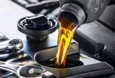 Oli Mineral Vs Oli Sintetis: Oli Mana yang Bagus untuk Mesin Kendaraan Kesayangan