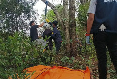 Penjual Model Ditemukan Tergantung di Pohon Area GOR Pancasila Muara Enim