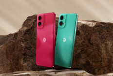 4 HP Chipset Bertenaga, Scrolling Mulus dan Kamera Beresolusi Tinggi: Harga Rp 2 Jutaan 