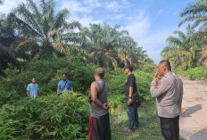 Polsek Sungai Menang Imbau Warga untuk Tidak Menjaga Lahan Kelapa Sawit Bukan Miliknya