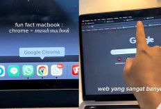 Fun Fact Terbaru: Chrome Musuh dari MacBook, Padahal di Macbook Apple Sudah Ada Safari 