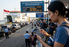 Jangan Tunggu di Pelabuhan! Begini Cara Beli Tiket Kapal Ferizy agar Tidak Gagal Bayar saat Jam Sibuk