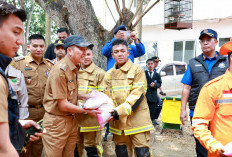 Ratu Dewa Tinjau Posko Karhutla Kecamatan Kertapati Palembang