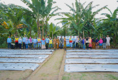 Maknai HUT ke-11, PT SBS Komit Wujudkan Generasi Sehat dan Gelar Penanam Pohon Demi Masa Depan