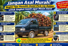 Jangan Asal Murah! Begini Tips Memilih Mobil Pick-Up Bekas untuk Angkut Sawit agar Mesin Awet