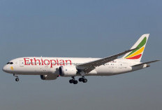 Pilot Berstatus WNI, Israel Tolak Pesawat Kargo Etiopia Mendarat