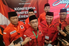 Devi Suhartoni Pimpin DPD PDIP Sumsel, Perkuat Konsolidasi Perjuangkan Kepentingan Rakyat